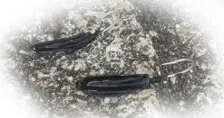 Point Jude Jig Heads