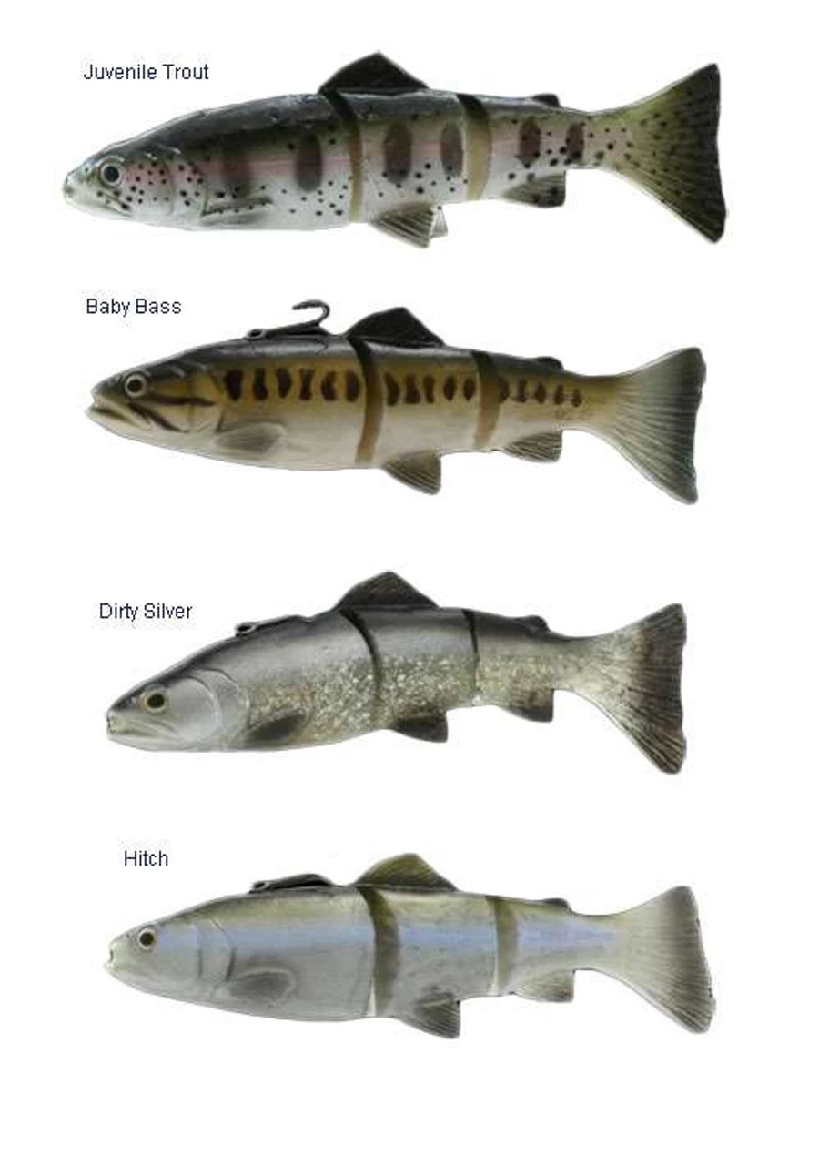 Savage Gear 3D Line Thru Trout 2 Savage Gear 3D Line Thru Trout - Image 2