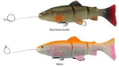 New Products -Simms Store savage gear pre rigged 3d line thru trout lures 89082.1650821678