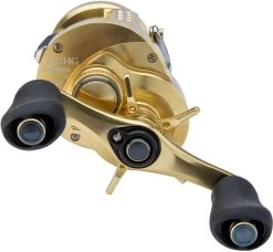 Shimano Calcutta Conquest 100 & 200 A Baitcasting Reels -Simms Store shimano calcutta conquest 100 200 baitcasting reels 12784.1651376435