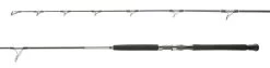 Shimano Terez BW BFC Spinning Rods