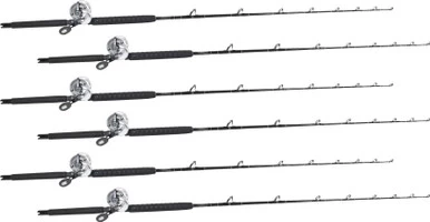 Shimano Talica TAC20BFC / TackleDirect Platinum Hook White Marlin Package W/ 6 Combos 1 Shimano Talica TAC20BFC / TackleDirect Platinum Hook White Marlin Package W/ 6 Combos